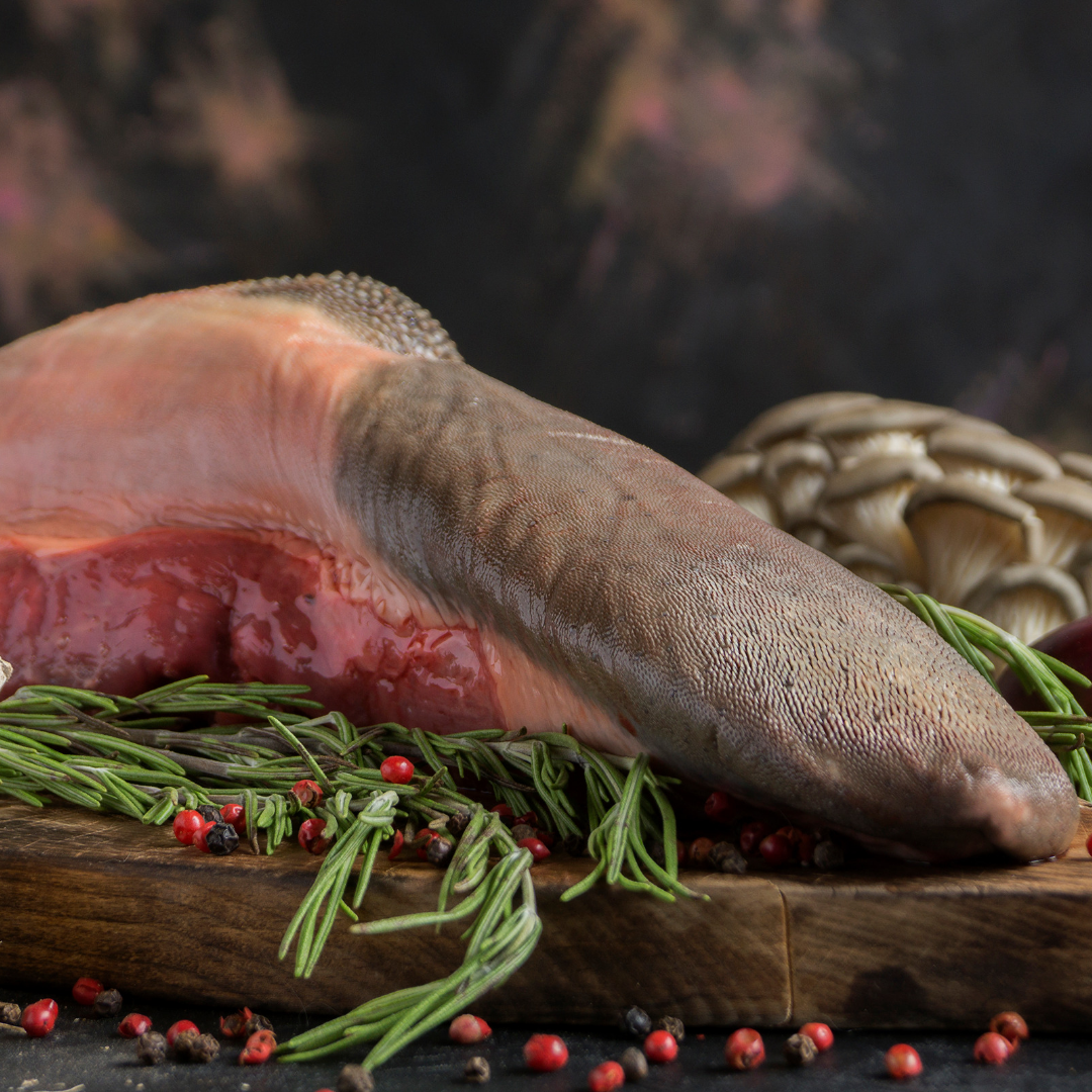 Lengua DE Res Und.