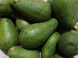 Palta Fuerte x Kg.